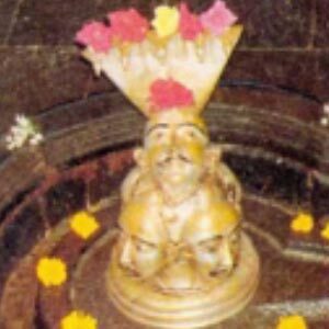 bhimashankar mahadev jyotirling darshan theshivling.com