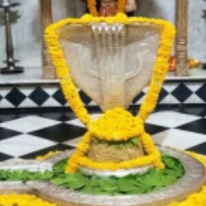 nageshwar mahadev jyotirling darshan theshivling.com