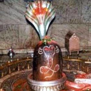 vishvnath mahadev jyotirling darshan theshivling.com