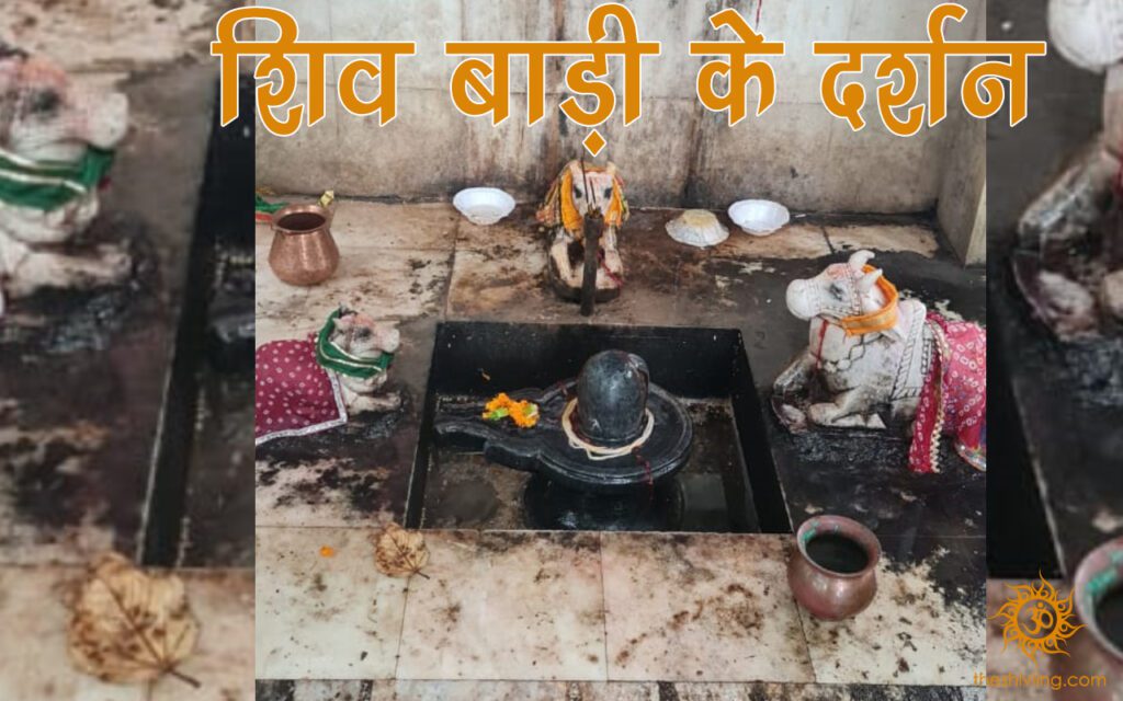 शिव बाड़ी के दर्शन